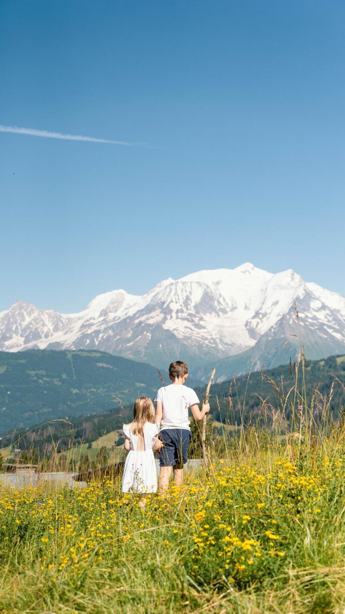 Chalet Alpen Valley, Mont-Blanc Combloux Exterior foto